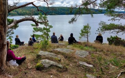 Vandring till Kullanäs med skogsbad, lunch och bad