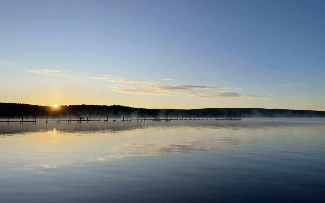 Jul & nyår i rörelse