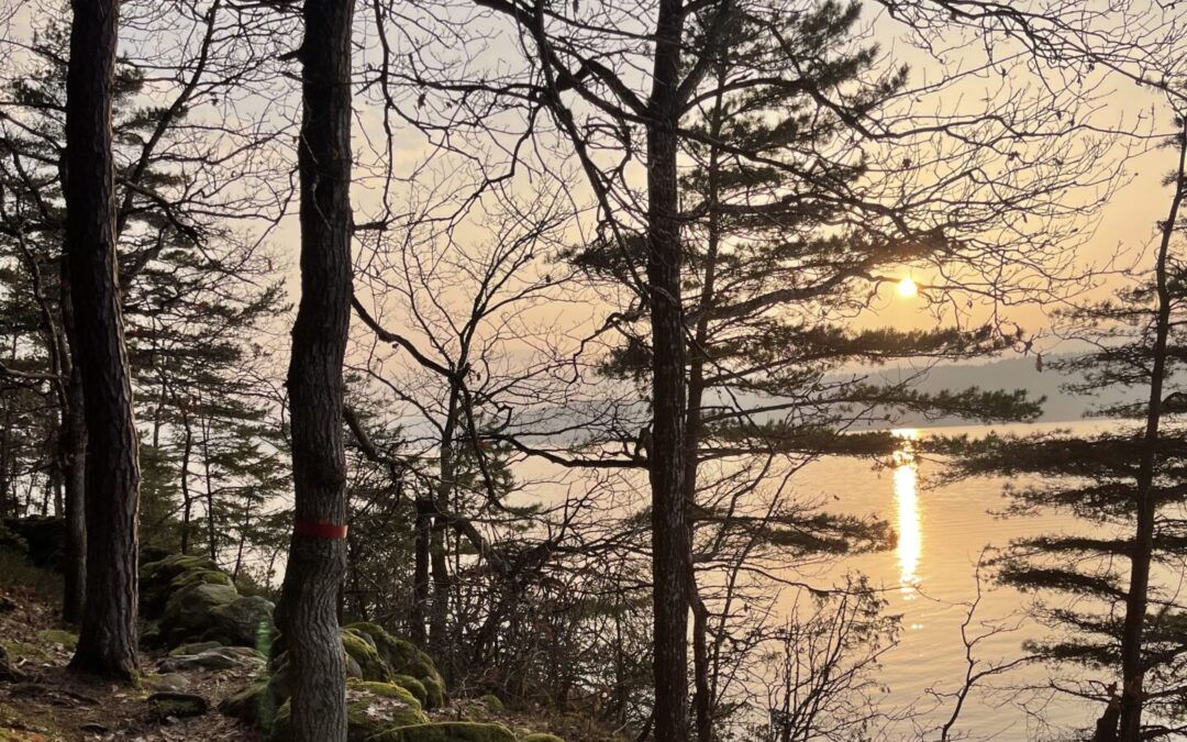 Skogsbad och vårdagjämning